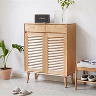 Image result for Shoe Cabinet with Doors