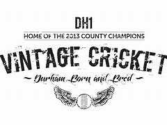 Image result for Cricket Typography Logo