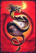 Image result for Yin Yang Wushu