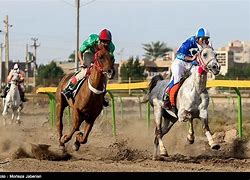 Image result for Dubai Horse Racing Hamdan