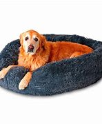 Image result for Comfort Dog Bed
