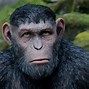 Image result for Planet of the Apes Caesar Movie