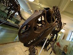 Image result for Ice Age Baby Dino's
