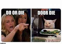Image result for Dinner Cat Meme