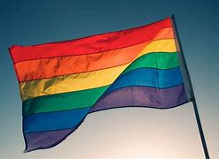 Image result for CFB Edmonton Gay Flag