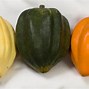 Image result for Bell-Shaped Squash