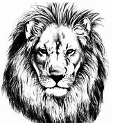 Image result for Marker Drawing Black and White Lion