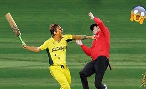 Image result for Cricket Fighting