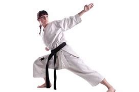 Image result for Dragon Style Kung Fu
