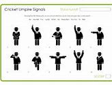 Image result for Picture of Signs and Signals for Cricket