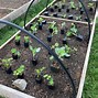 Image result for Square Foot Gardening Method