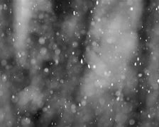 Image result for Black and White Photos of Snow Falling