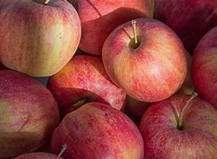 Image result for Bright Red Apple