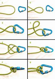 Image result for Knot for Climbing Carabiner