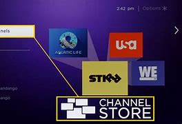 Image result for Check App On Roku TV