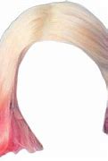 Image result for Silver Hair with Pink Tips