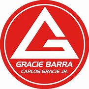Image result for Brazilian Jiu Jitsu Gracie Barra