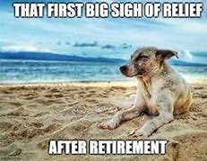 Image result for Retirement Dog Meme