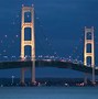 Image result for The Suspension Bridge