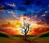 Image result for Cool Moving Wallpapers for Laptops
