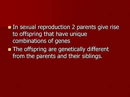 Image result for Parent to Offspring