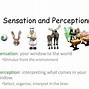 Image result for Kinesthetic Sense