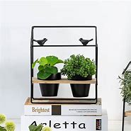 Image result for Horticulture Interior Pot