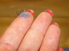 Image result for Best Daily Disposable Contact Lenses
