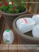 Image result for Gardening Tips and Tricks