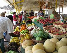 Image result for Local Farmers Market in Elmont NY