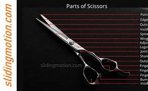 Image result for Scissors Chisel Point