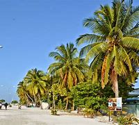 Image result for Maldive Local Town