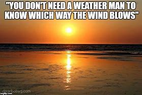 Image result for Windy Weather Meme