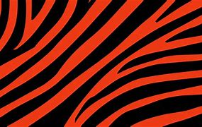 Image result for Cincinnati Bengals Tiger Stripes