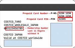 Image result for Costco Card Back