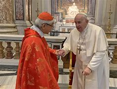 Image result for Cardinal Pope