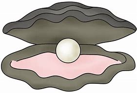 Image result for Clip Art Baby Clam