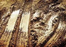 Image result for Dirty Mud
