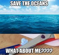 Image result for Open Sea Memes