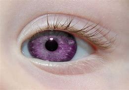 Image result for Purple Eye Texture