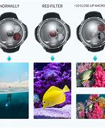 Image result for fish lenses for gopro