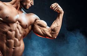 Image result for Bodybuilding Biceps Workout