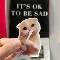 Image result for Sad Cat Meme Sticker