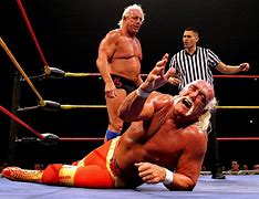 Image result for Ric Flair Hulk Hogan