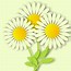 Image result for Black and White Cartoon Daisy