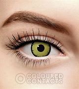 Image result for Angelic Yellow Contact Lenses
