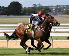 Image result for Old Horse Racing