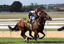 Image result for Horse Racing Collectibles