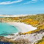 Image result for Falkland Islands