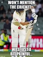 Image result for Cricket Bug Meme